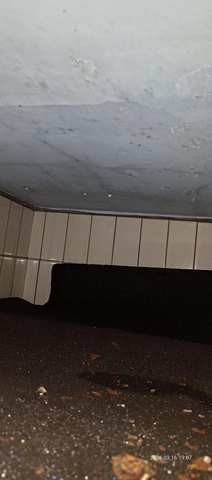 漏水處理案件圖片