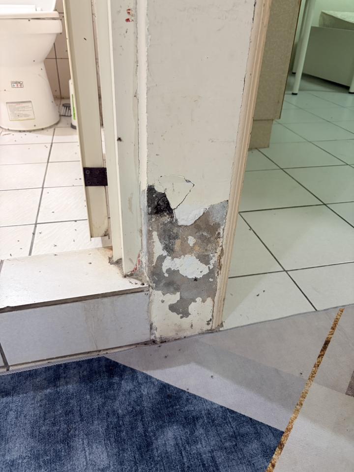 壁癌處理案件圖片