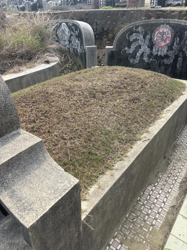 園藝維護案件圖片