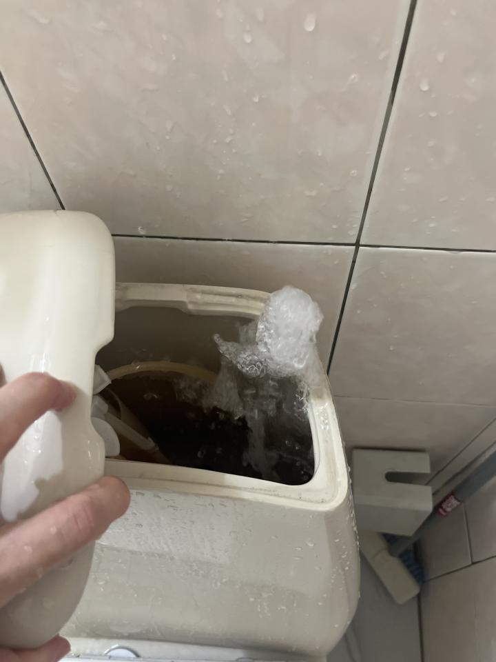 馬桶裝修案件圖片