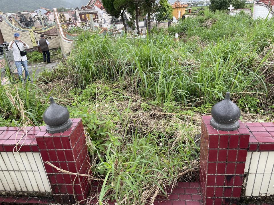 園藝維護案件圖片