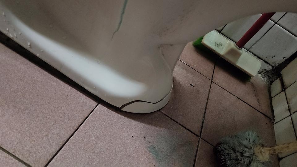 馬桶裝修案件圖片