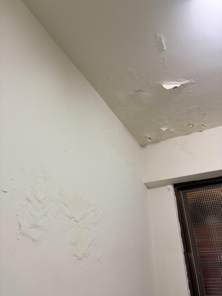 壁癌處理案件圖片