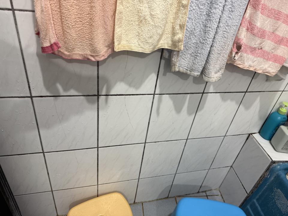 浴室扶手安裝案件圖片