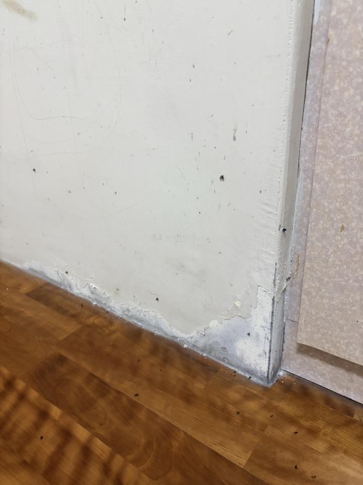 壁癌處理案件圖片