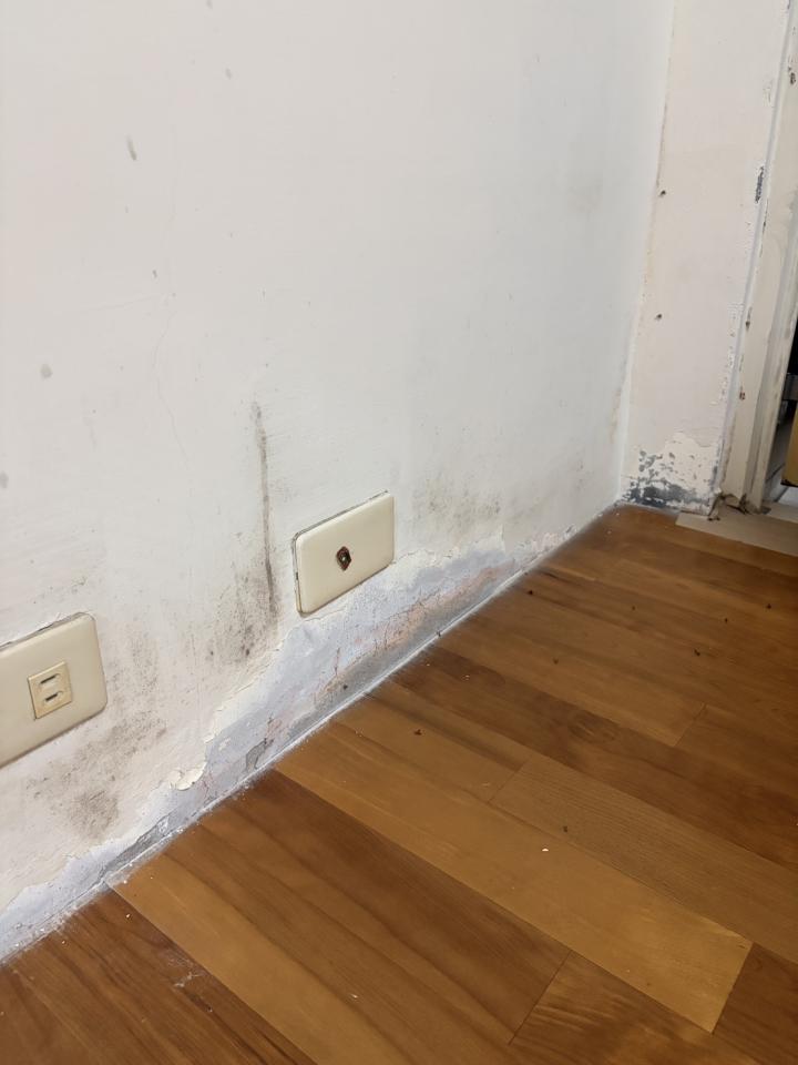 壁癌處理案件圖片