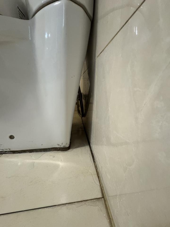 馬桶裝修案件圖片