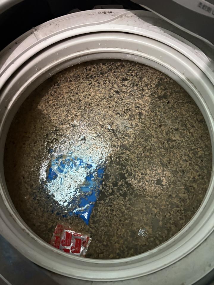 洗衣機清洗案件圖片