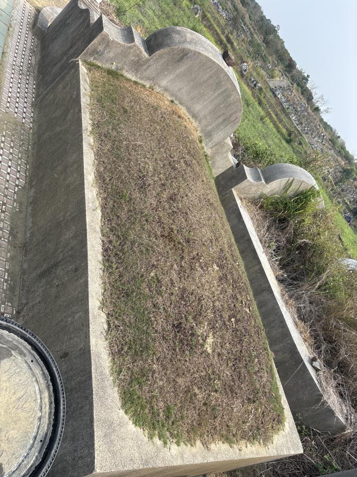 園藝維護案件圖片