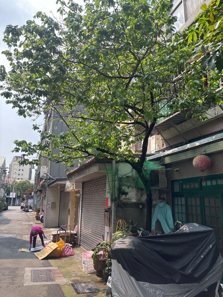 園藝維護案件圖片