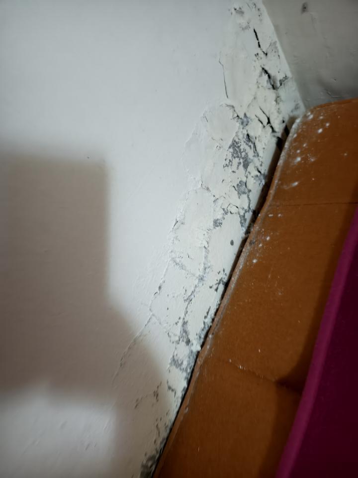 壁癌處理案件圖片