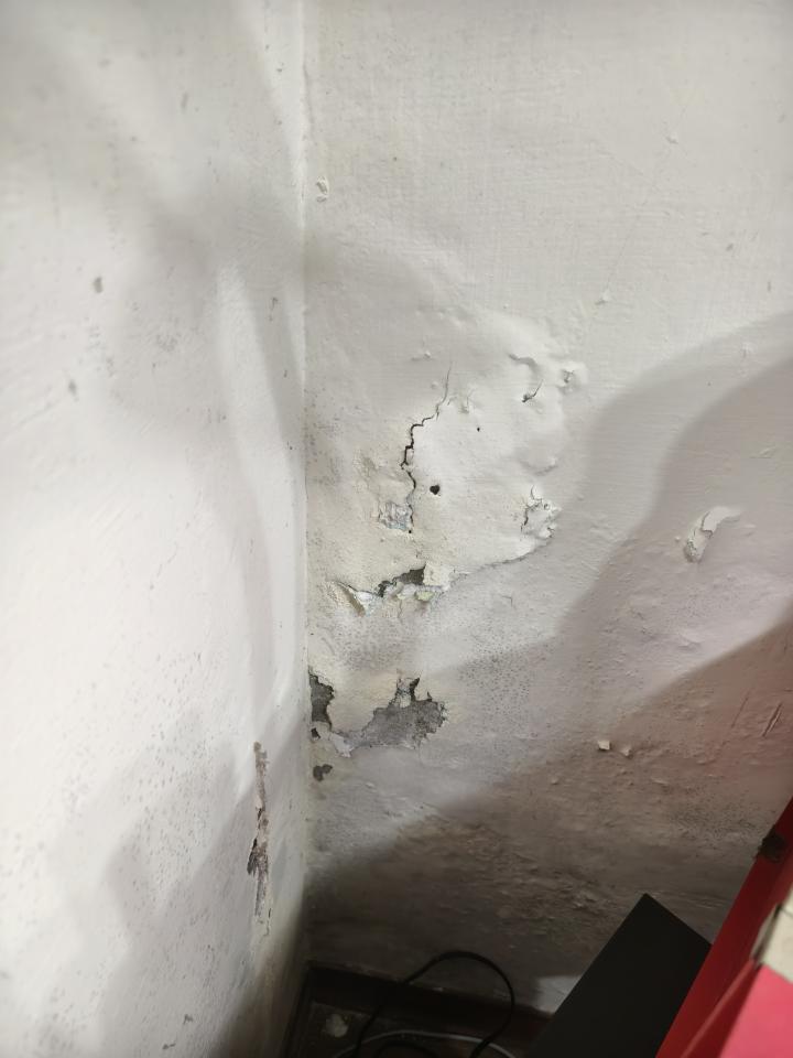 壁癌處理案件圖片
