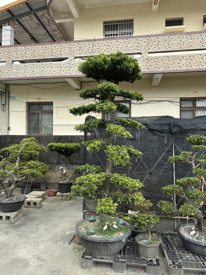 回頭車案件圖片