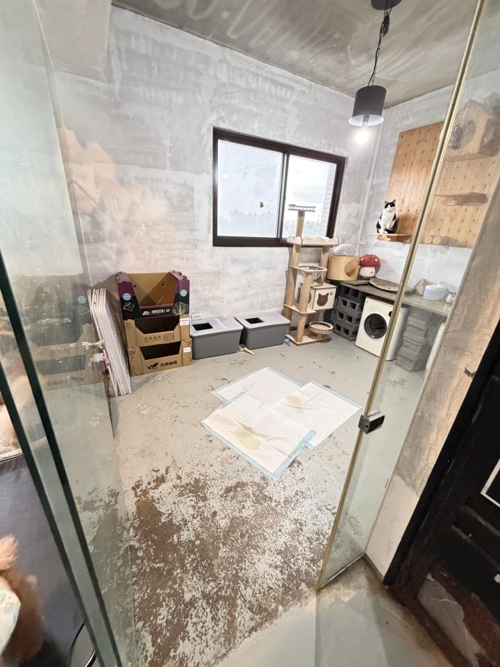 自平水泥案件圖片