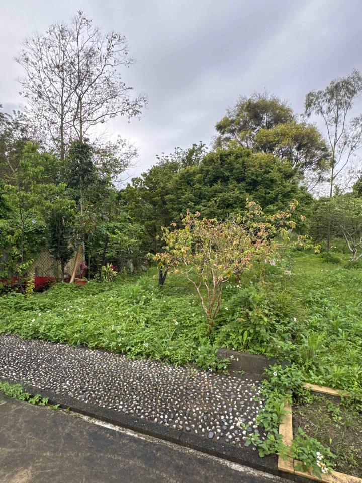 園藝維護案件圖片