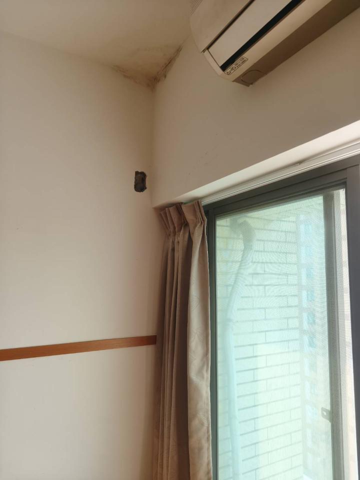 壁癌處理案件圖片