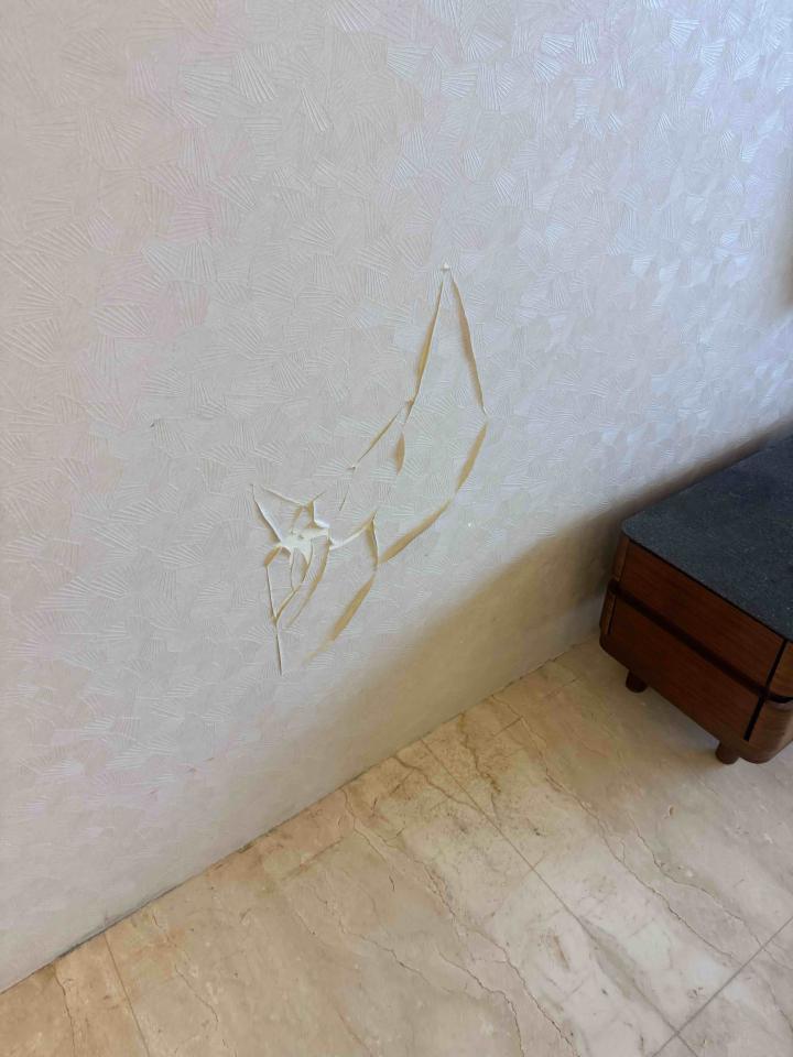 壁紙施工案件圖片