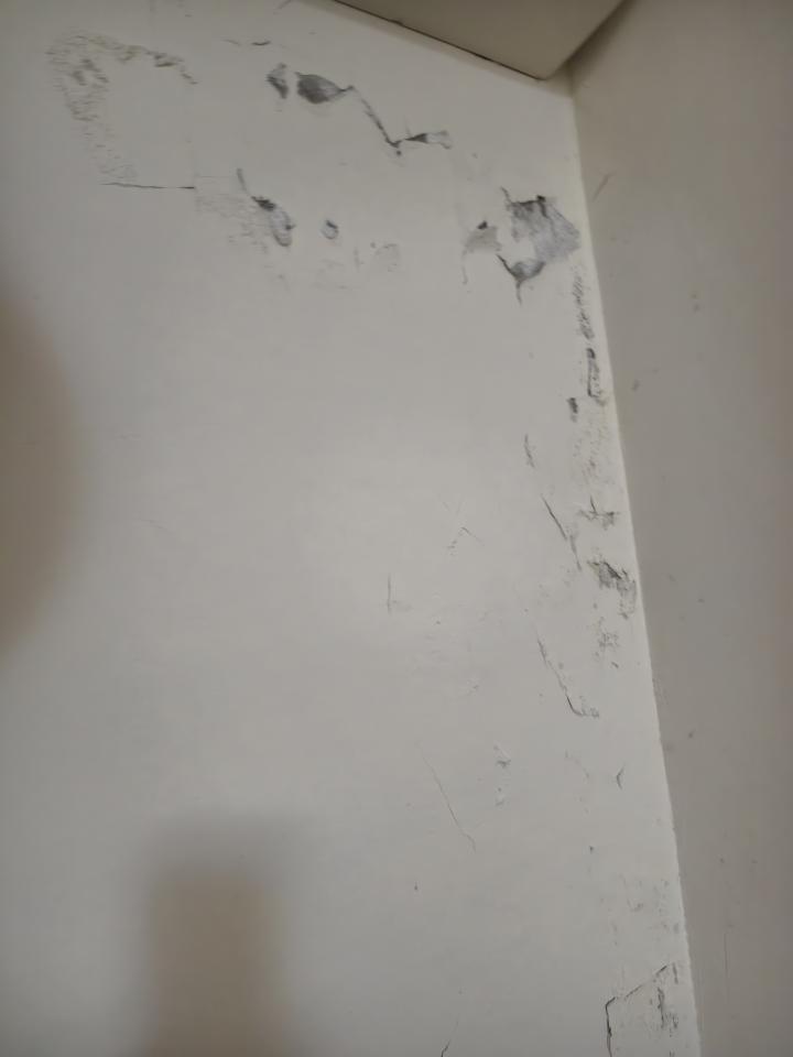 壁癌處理案件圖片