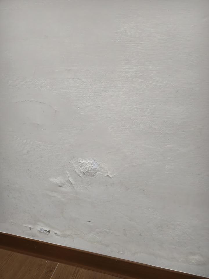 壁癌處理案件圖片