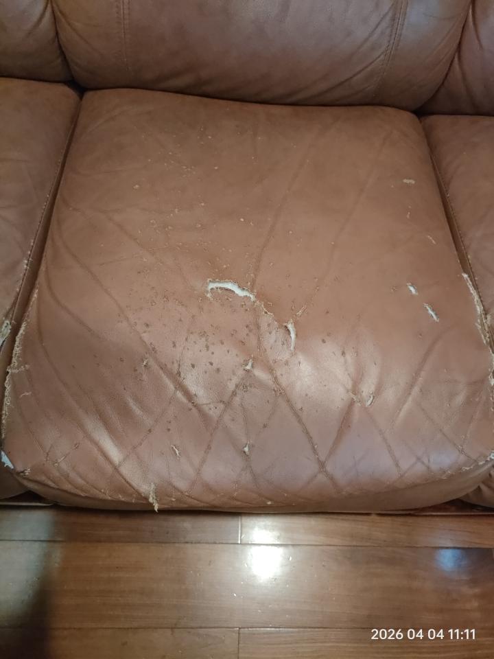 沙發修理案件圖片
