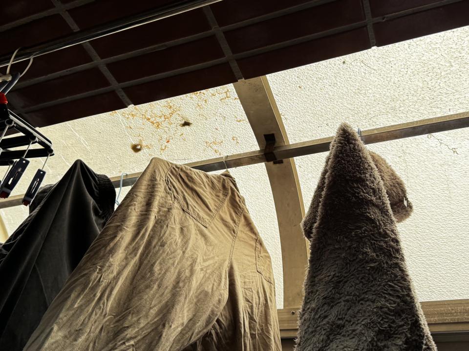 採光罩案件圖片