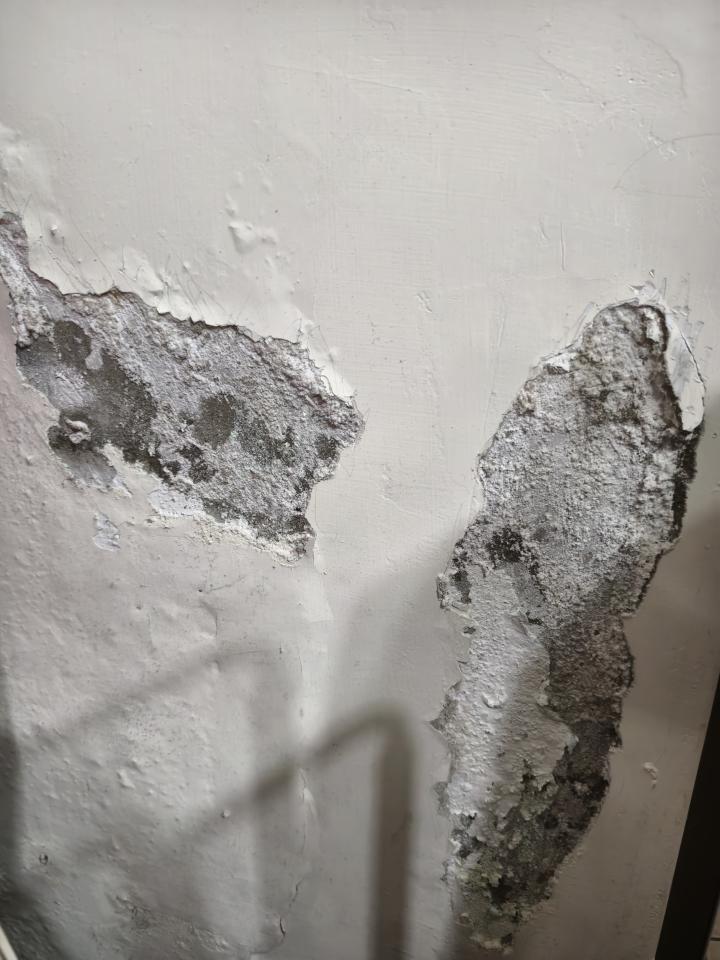 壁癌處理案件圖片