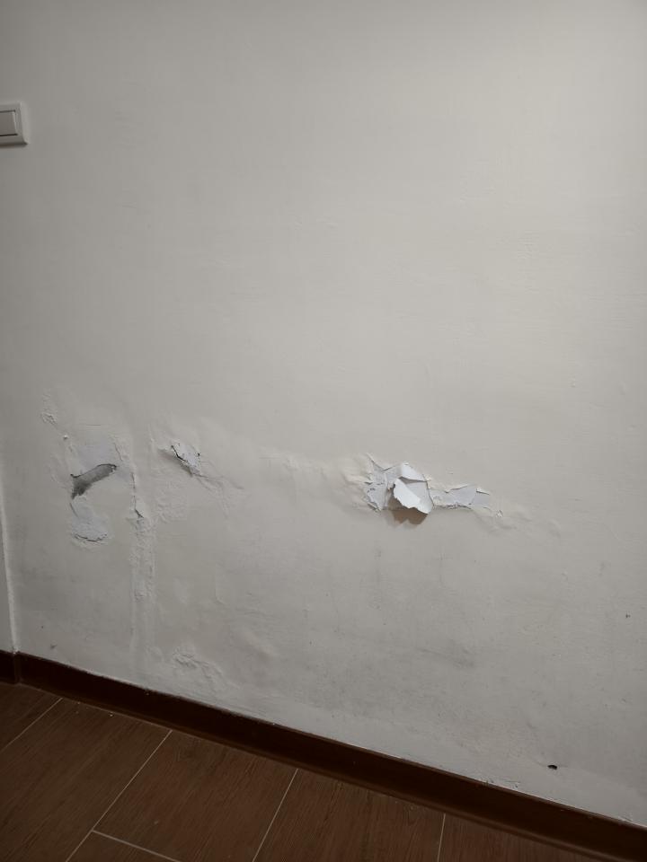 壁癌處理案件圖片