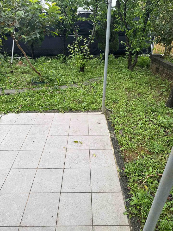 園藝維護案件圖片