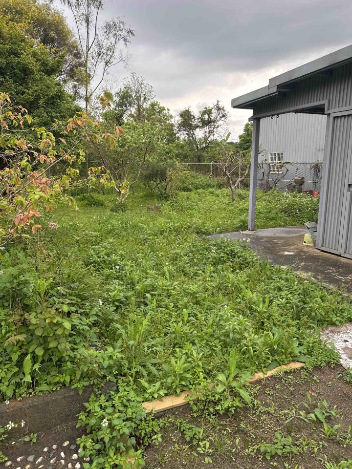 園藝維護案件圖片