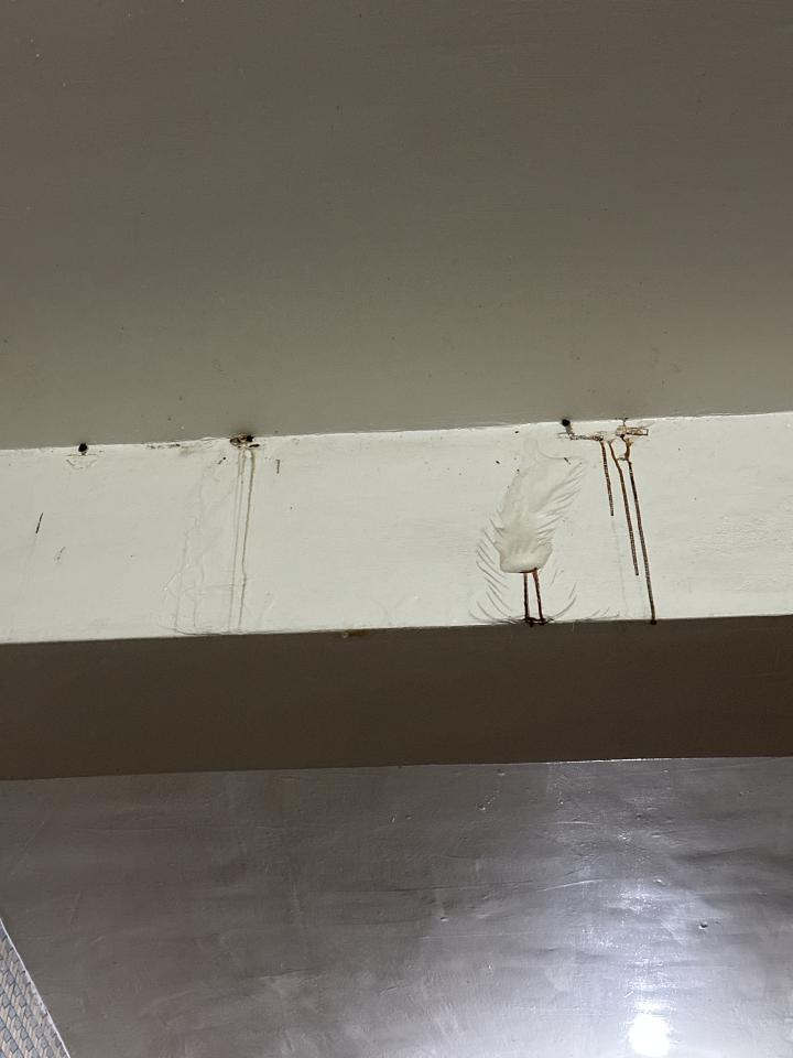 屋頂防水案件圖片