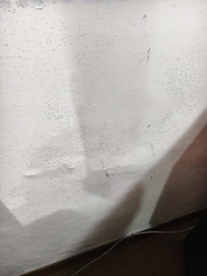 壁癌處理案件圖片