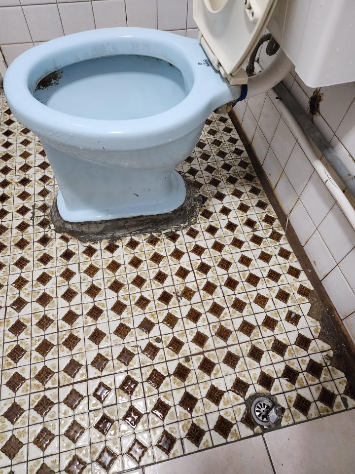 馬桶裝修案件圖片