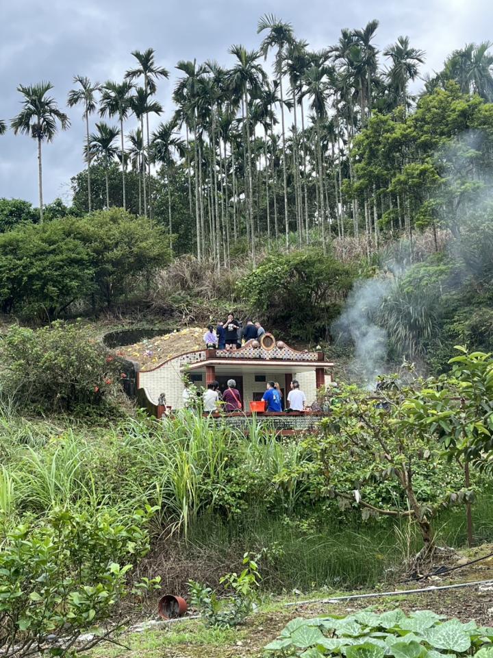 園藝維護案件圖片