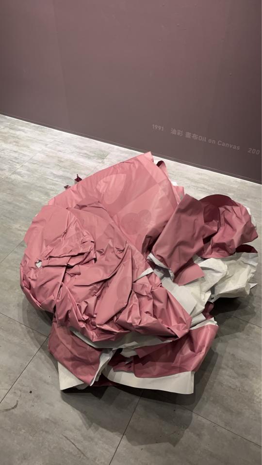 大型垃圾回收案件圖片