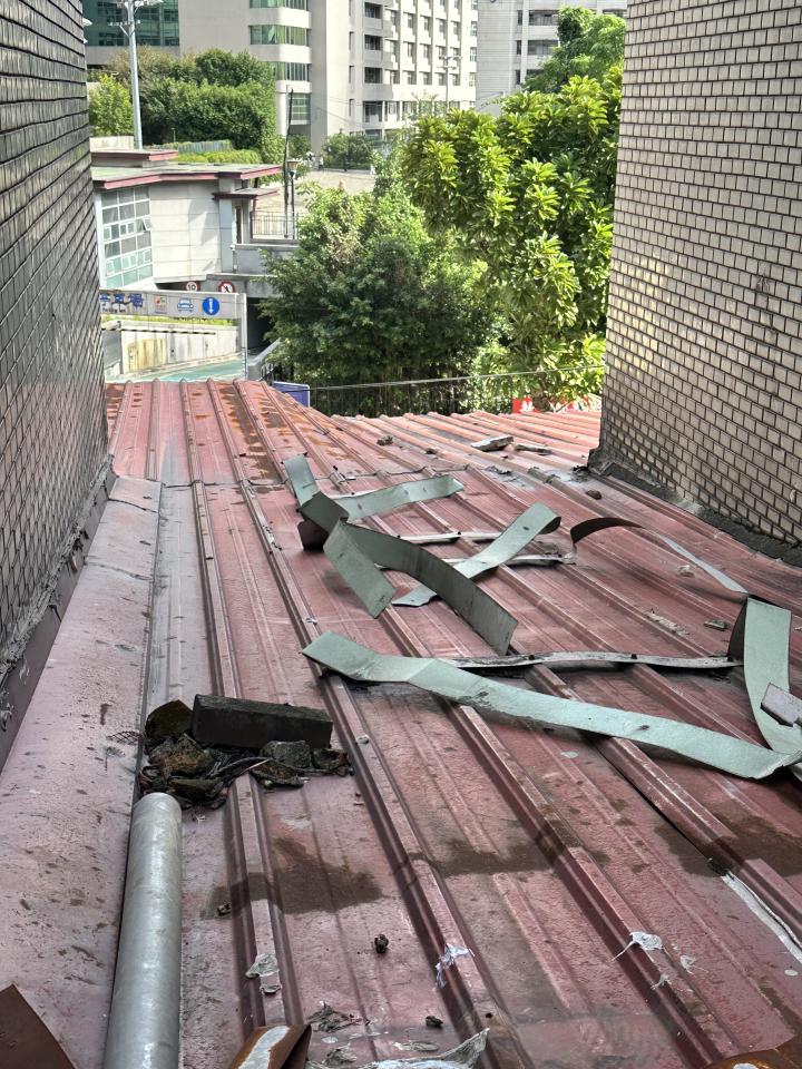 園藝維護案件圖片