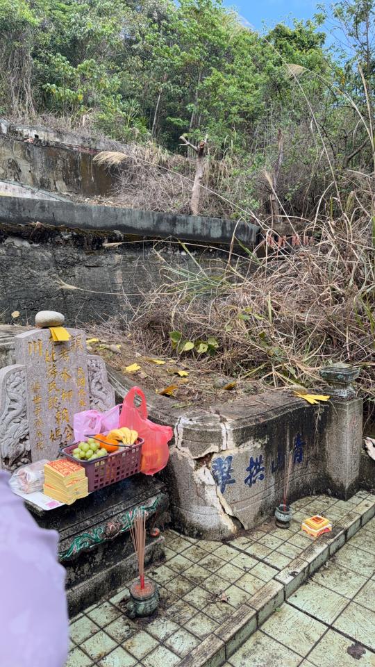 園藝維護案件圖片