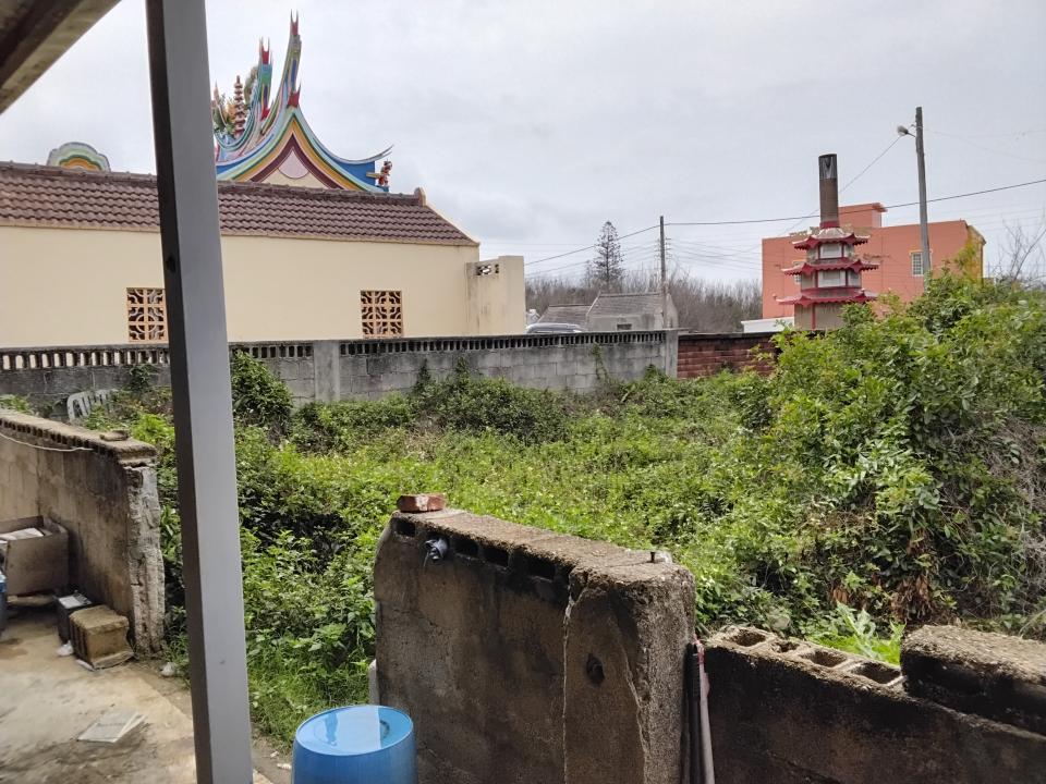 園藝維護案件圖片