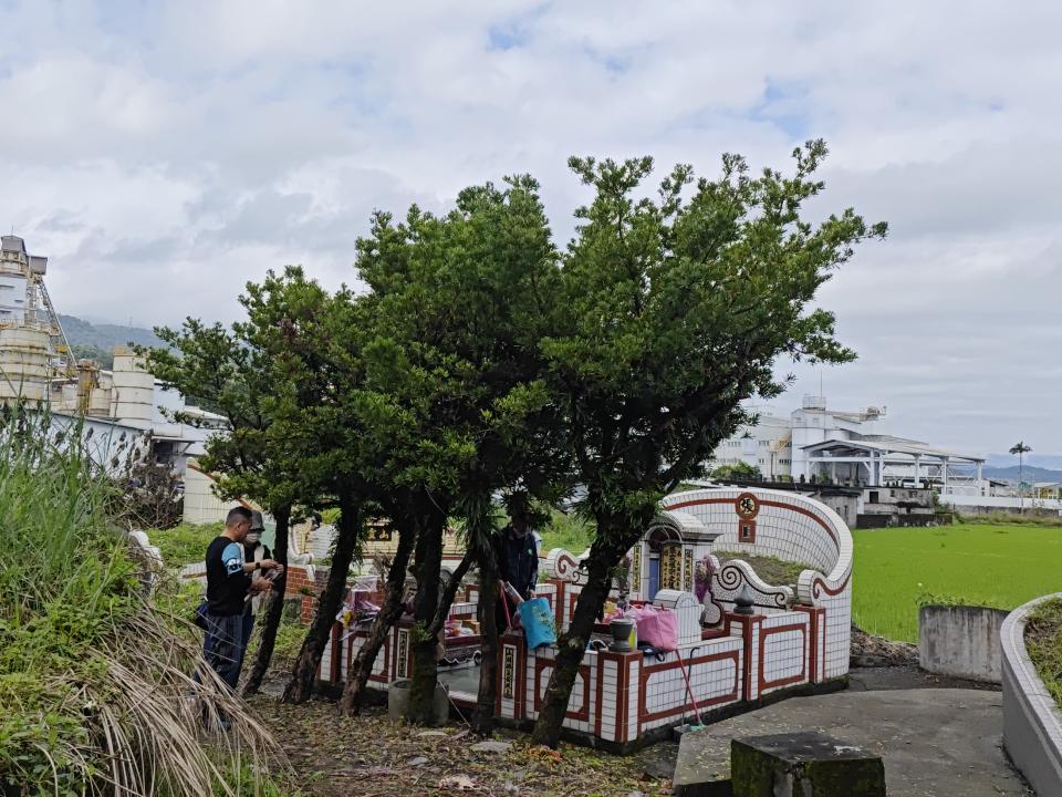 園藝設計案件圖片