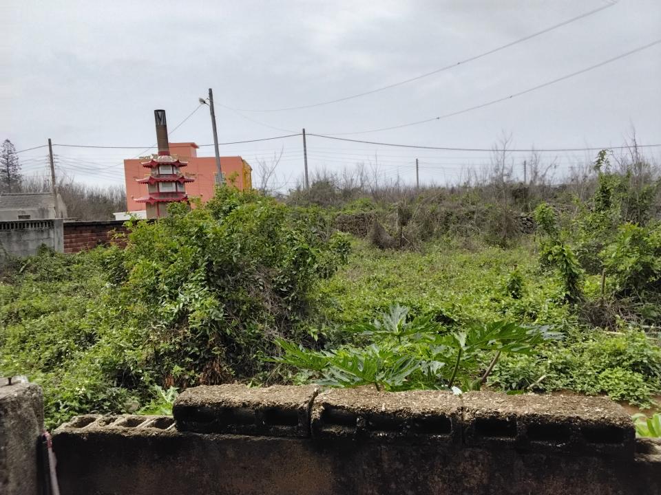 園藝維護案件圖片