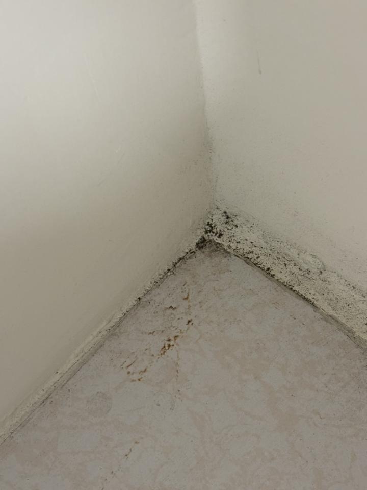 水電行案件圖片