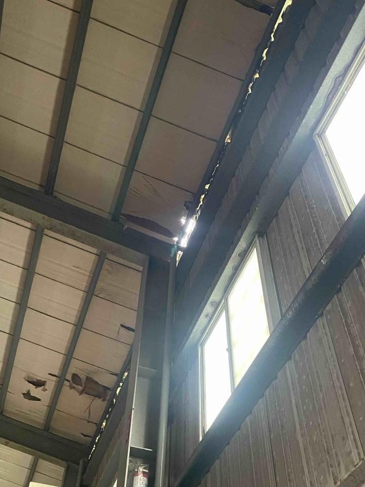 鐵皮屋頂案件圖片