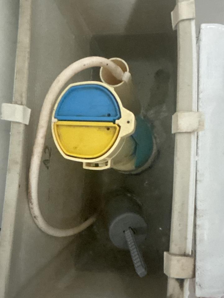 馬桶裝修案件圖片