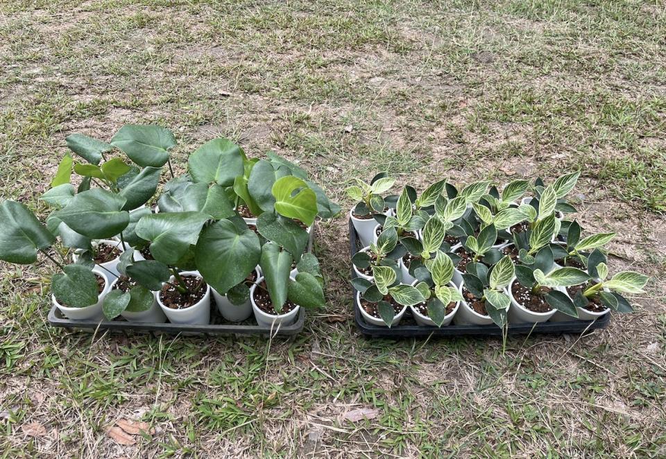 載貨運輸服務案件圖片