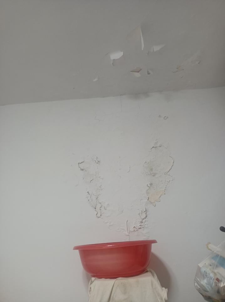 油漆工程案件圖片