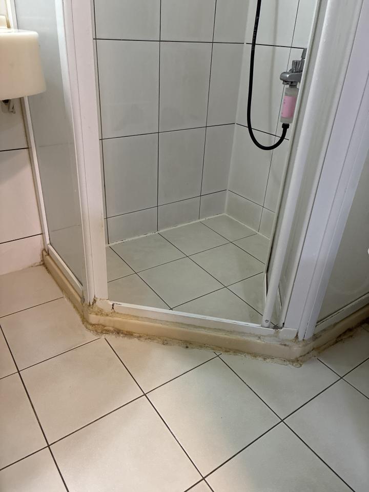 矽利康工程案件圖片