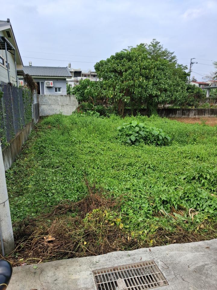 園藝維護案件圖片