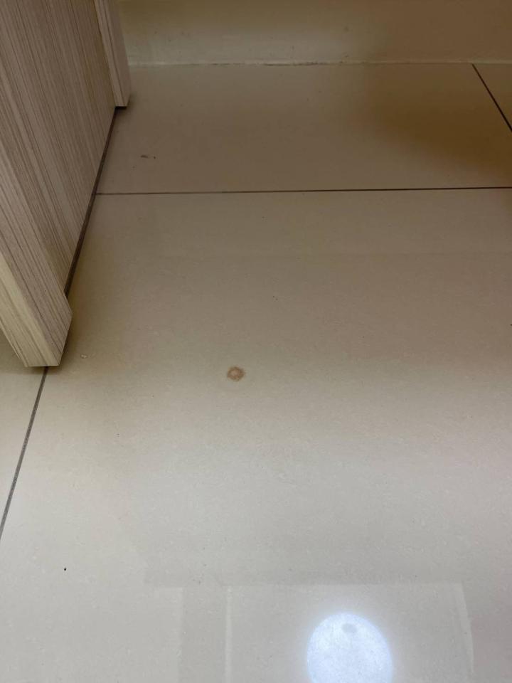 磁磚清潔案件圖片