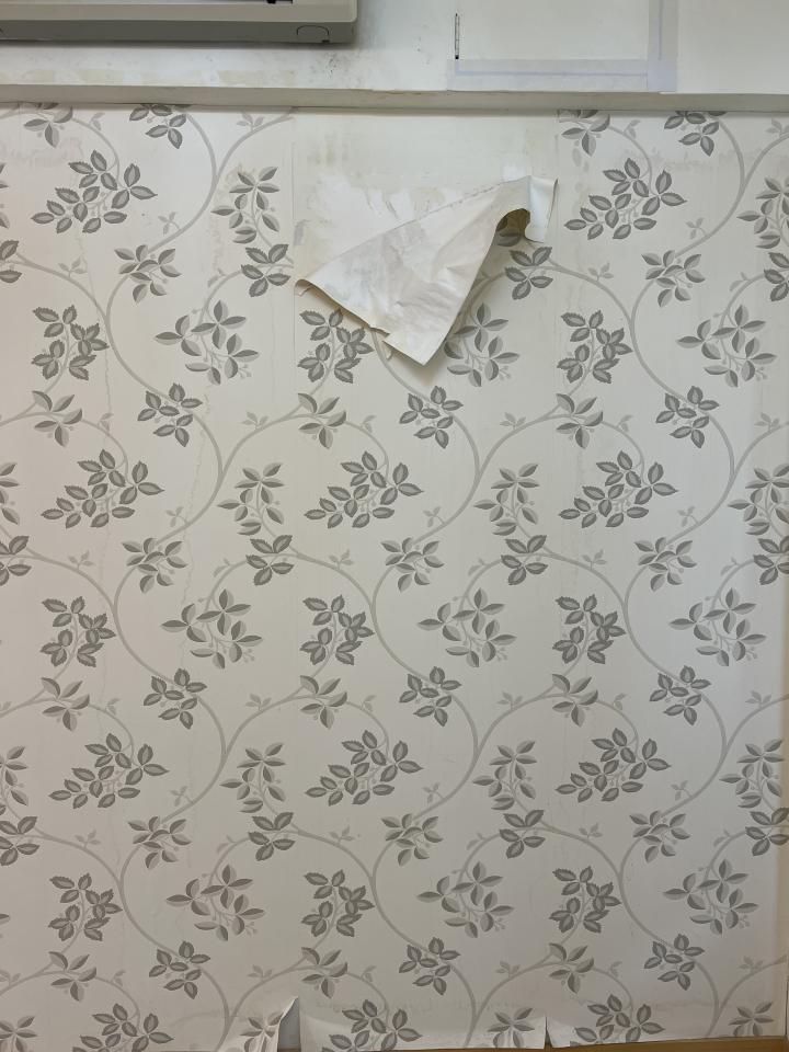 壁紙施工案件圖片