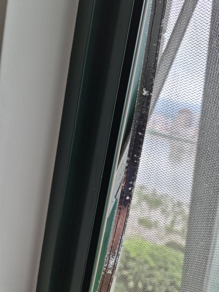 紗窗裝修案件圖片