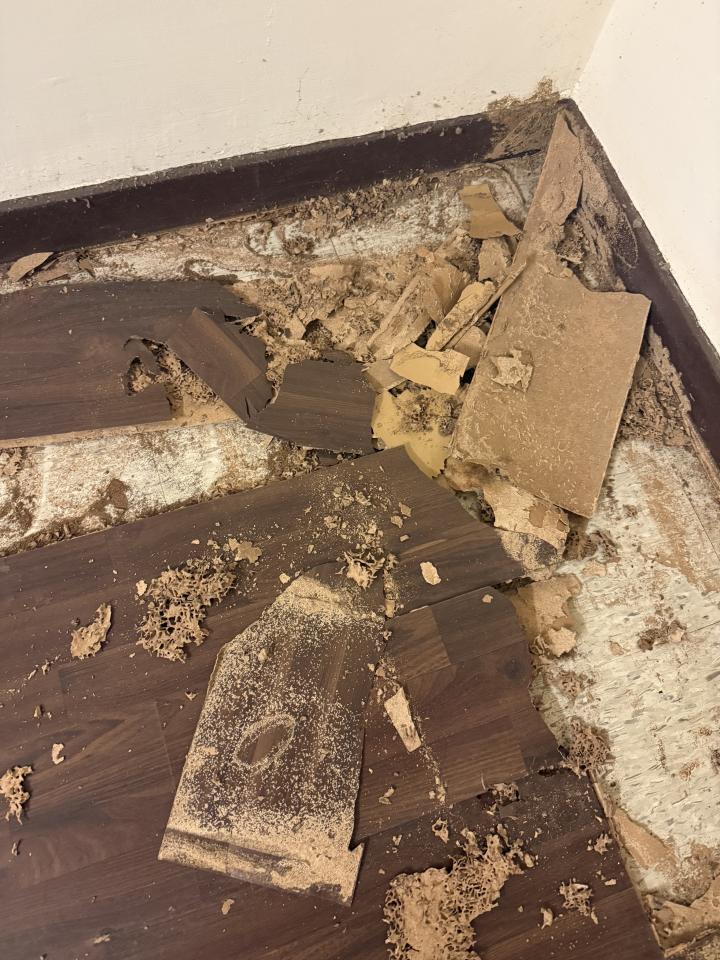 拆除工程案件圖片